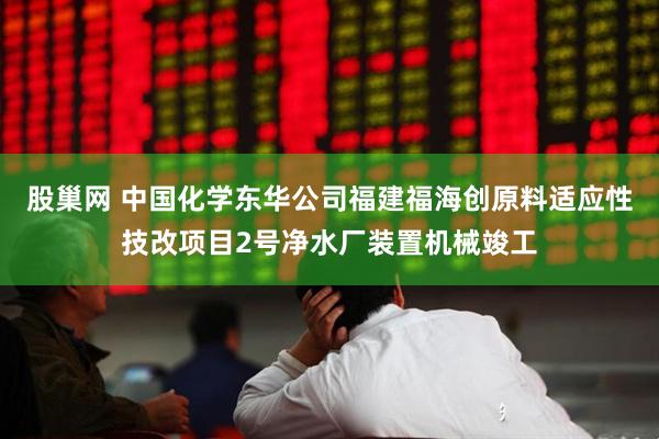 股巢网 中国化学东华公司福建福海创原料适应性技改项目2号净水厂装置机械竣工